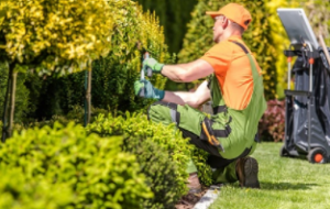 Guaranteed-Garden-Services lawn mowing Adelaide