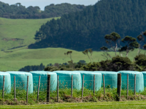 Silage Plastic