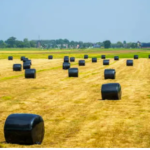 bale wrap