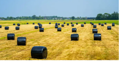 bale wrap